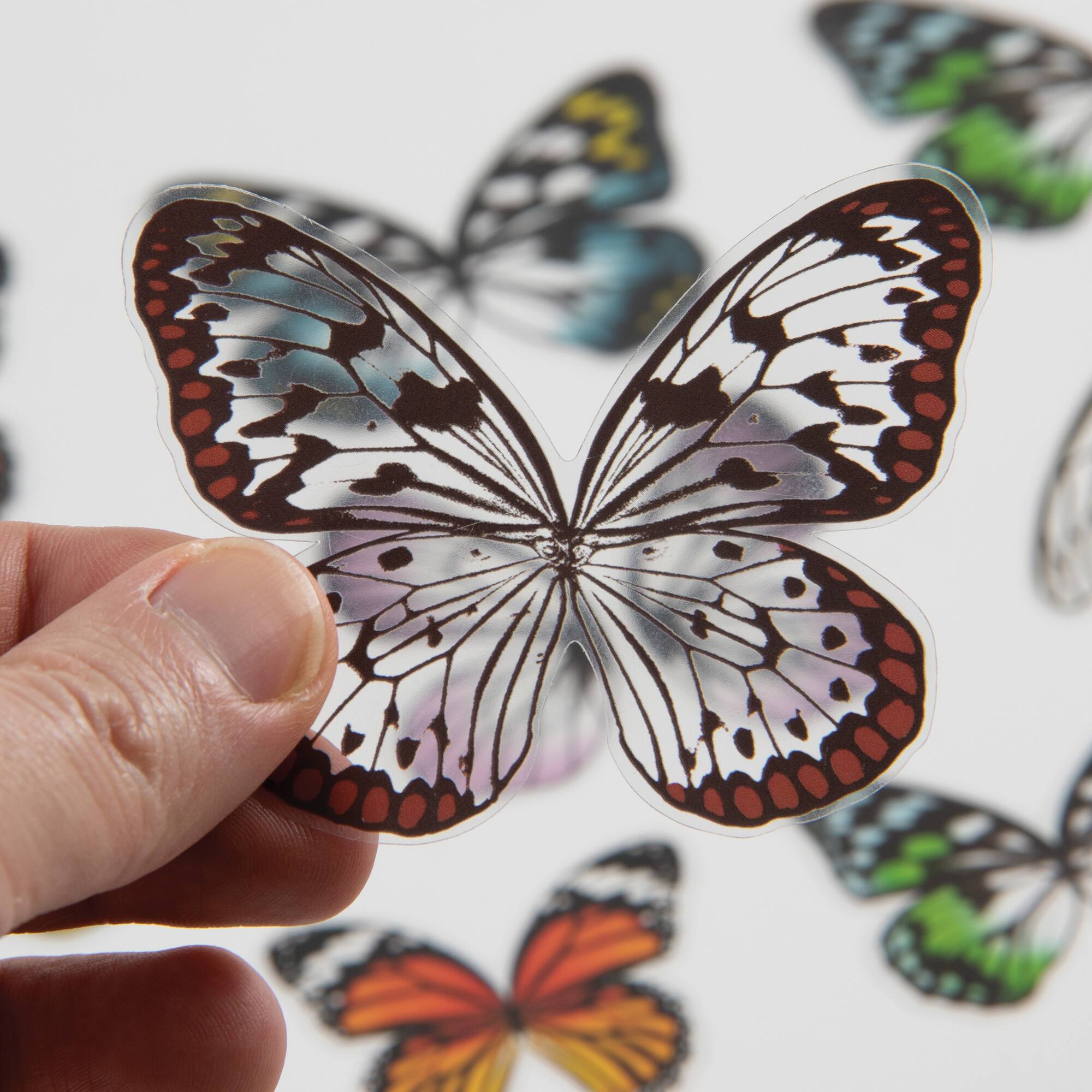 Idea-Ology Transparent Acetate Wings 72/Pkg-